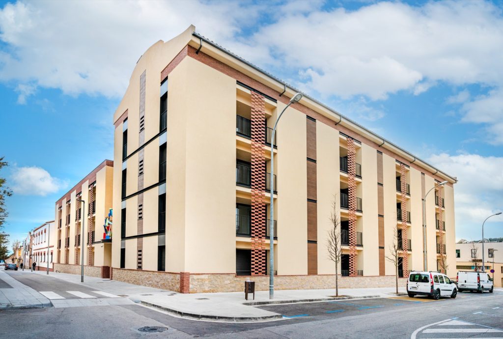 WhatsApp Image 2025-02-19 at 11.01.46